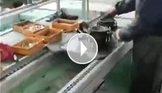 辰力手拉葫蘆車間，手拉葫蘆流水作業(yè)中